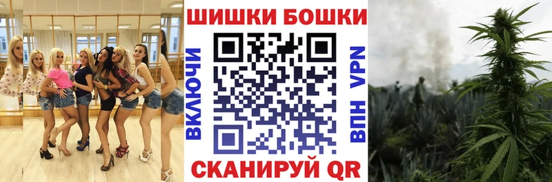 Бошки Шишки ГИДРОПОН  Сосновка 